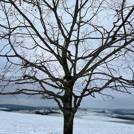 Eifel-Bau-Traum Schlich Villa Wershofen ภายนอก รูปภาพ